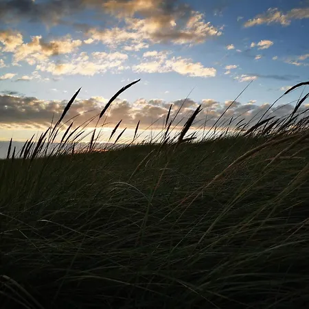 Сasa de vacaciones Luxury Retreat In - By Traum Blåvand