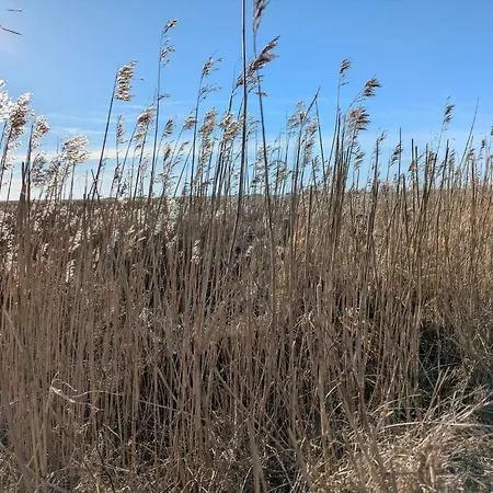 Сasa de vacaciones Luxury Retreat In - By Traum *