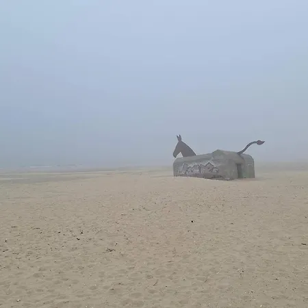 5 Star In Blåvand